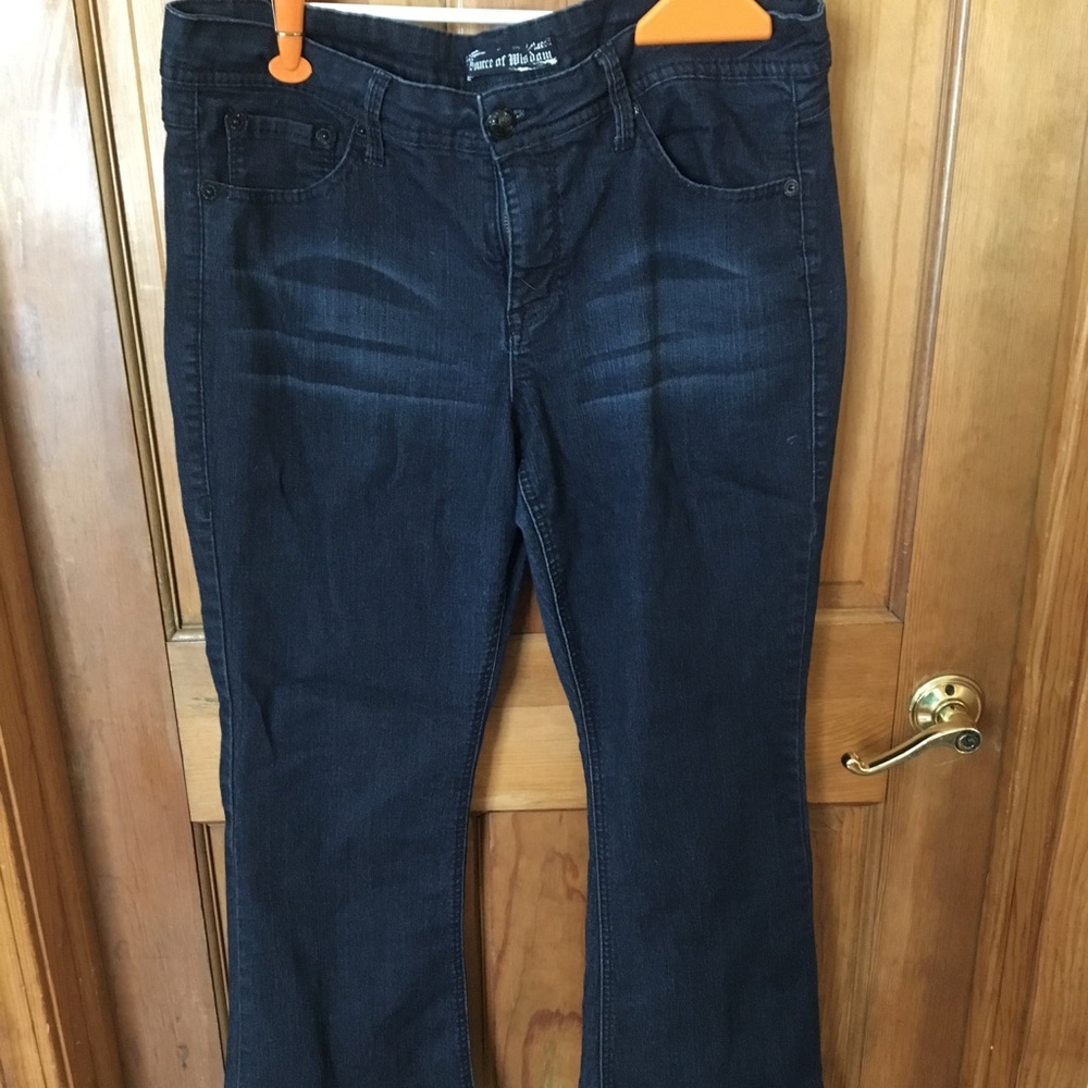 Torrid / Source of Wisdom Bootcut Jeans (16)